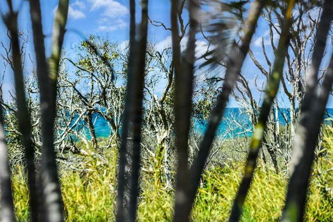 Nobs -1/44 Peregian Esplanade - Hobart Tourism 1