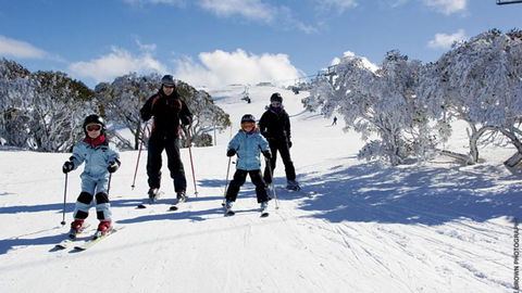 East 302 St. Falls - Tourism TAS 5
