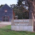 Herons Rise Vineyard Accommodation - Tourism TAS 0