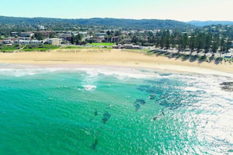 Reef Resort Apartments - Tourism TAS 0