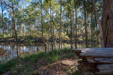 Oakey Creek Private Retreat - Tourism TAS 2