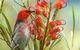 Cedarview Bed & Breakfast - thumb 1