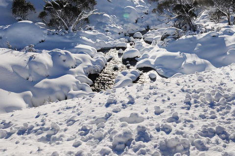 Mitta Mitta - Hobart Tourism 5