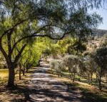 Capers Guesthouse Barn  Cottage - Tourism TAS
