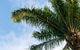Esprit Luxury Retreat Palm Cove - thumb 1