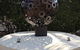Esprit Luxury Retreat Palm Cove - thumb 0
