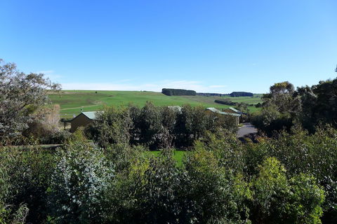 Daysy Hill Country Cottages - Tourism TAS 6