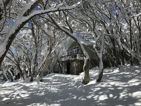 Amber Lodge Mt Buller - Hostel - Tourism TAS 2