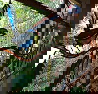 Bright Highland Valley Cottages - Hobart Tourism