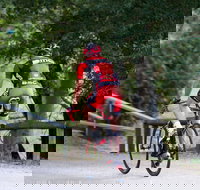 NRMA Bright Holiday Park - Hobart Tourism