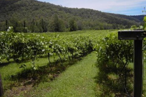Cedar Creek Cottages - Hobart Tourism 2