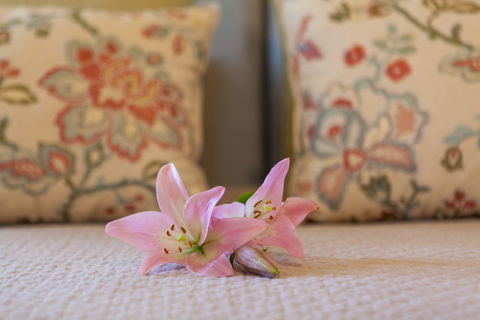 Stonewell Cottages & Vineyards - Tourism TAS 2