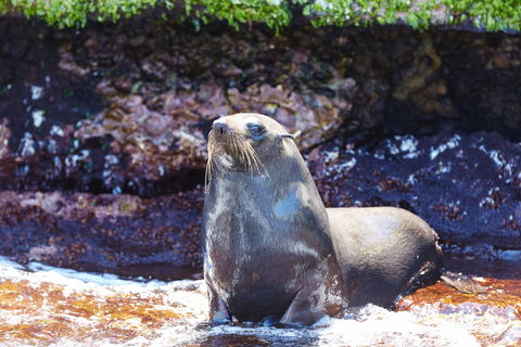 Rottnest Island Authority - Tourism TAS 5
