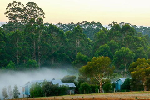 Rainbow Trail Chalets - Tourism TAS 6