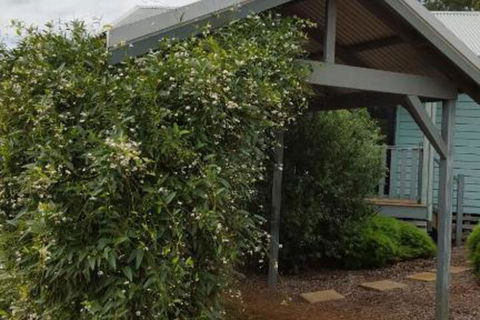 Rainbow Trail Chalets - Tourism TAS 7
