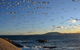 Narooma Motel - thumb 3
