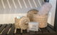 Zebras Guest House - thumb 4