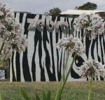 Zebras Guest House - Tourism TAS