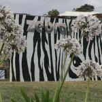 Zebras Guest House - Tourism TAS 0