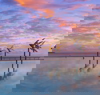Global Backpackers Cairns - Tourism TAS