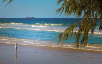 Pacific Royale Holiday Apartment 313 - Tourism TAS 2