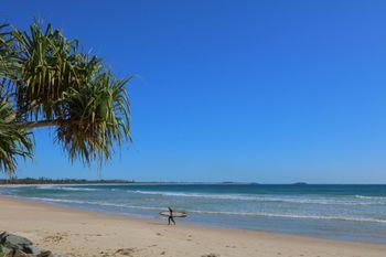 Pacific Royale Holiday Apartment 313 - Tourism TAS 3