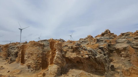 Georgia - Tourism TAS 4