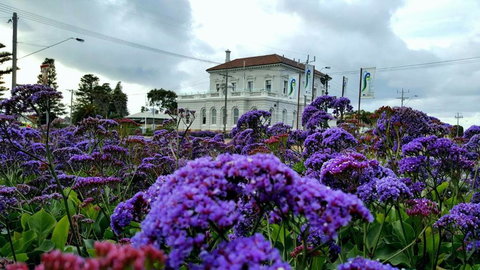 Georgia - Tourism TAS 3