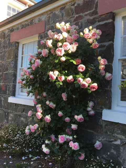 Georgia - Tourism TAS 6