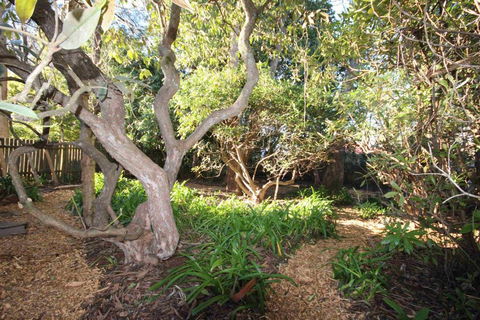 Stonewall Cottage For Two With Fireplace - Tourism TAS 2