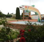 Big Trout Motel - Hobart Tourism