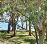 32 Bay Parklands 2 Gowrie Avenue fantastic unit with air conditioning pool tennis court  spa - Tourism TAS