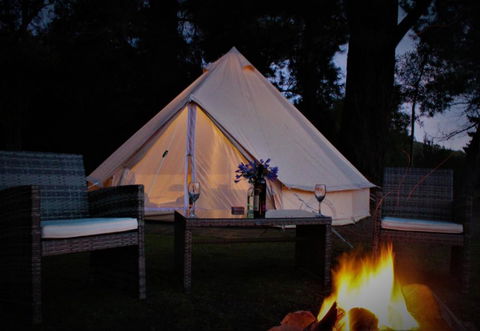 Glamping At Zeehan Bush Camp - Tourism TAS 1