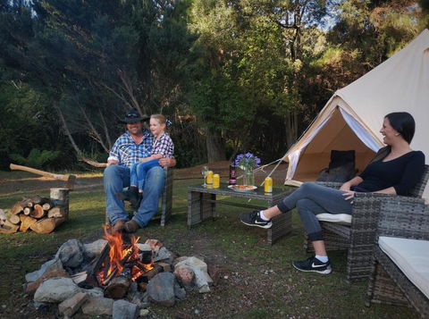 Glamping At Zeehan Bush Camp - Tourism TAS 4