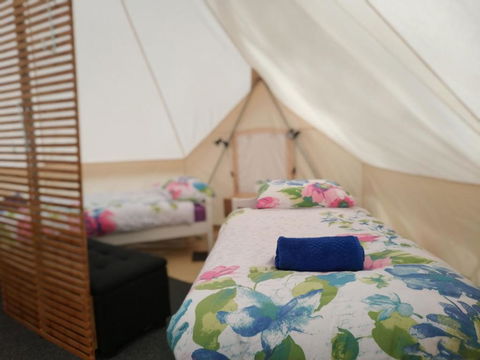 Glamping At Zeehan Bush Camp - Tourism TAS 6