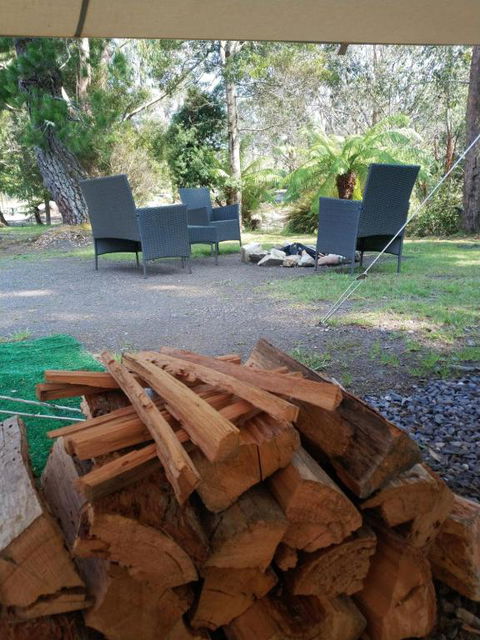 Glamping At Zeehan Bush Camp - Tourism TAS 5