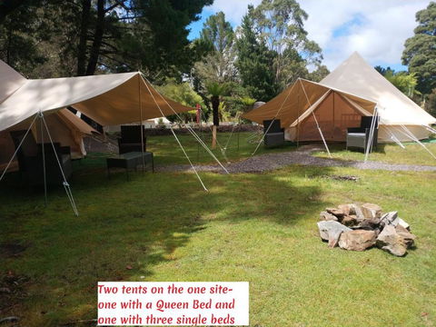Glamping At Zeehan Bush Camp - Tourism TAS 2