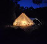 Glamping at Zeehan Bush Camp - Tourism TAS