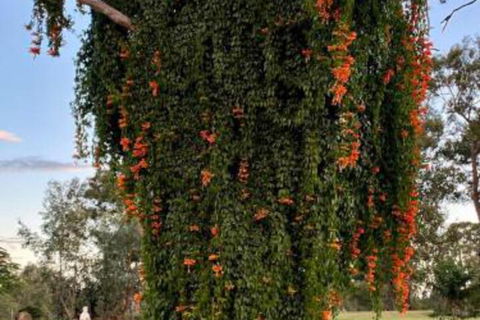 Amarina Farm Stay & Gardens - Hobart Tourism 6