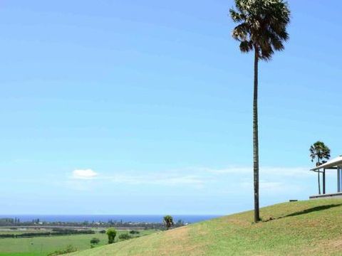ROSE VALLEY Gerringong 4pm Check Out Sundays - Tourism TAS 0