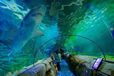 A Modern & Cozy Studio Next To Darling Harbour - Hobart Tourism 6