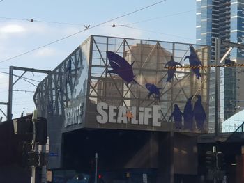 North Melbourne Lifestyle Stays - Hobart Tourism 1