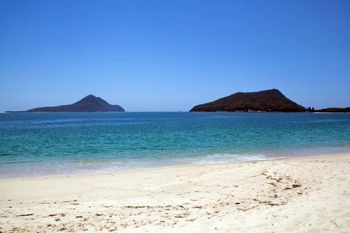 Radburn Unit 2 17 Ondine Close - Tourism TAS 4