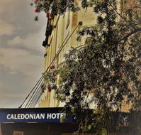 Caledonian Hotel - Tourism TAS