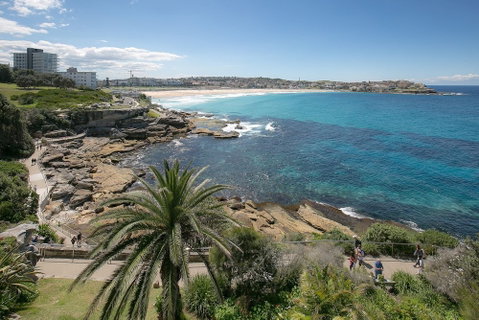 Ultimate Bondi Escape - Tourism TAS 4
