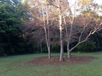 Boambee Retreat - Hobart Tourism 4