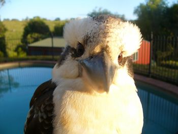 Belle La Vie B & B - Hobart Tourism 3