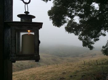 Belle La Vie B & B - Hobart Tourism 6