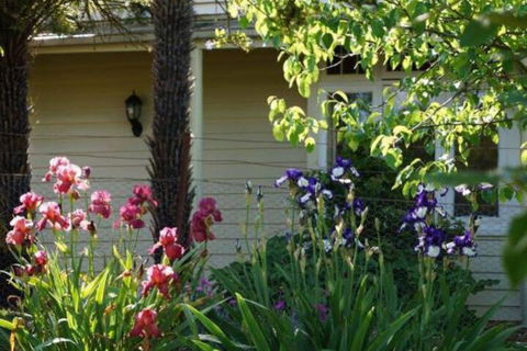 Eagles View Cottage Yarra Valley - Tourism TAS 1