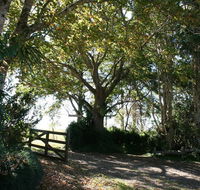 Maleny Mountain Retreat - Hobart Tourism